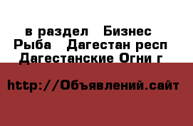  в раздел : Бизнес » Рыба . Дагестан респ.,Дагестанские Огни г.